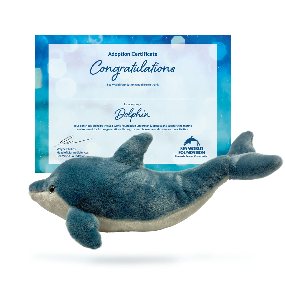 Sea World Foundation Adopt a Dolphin
