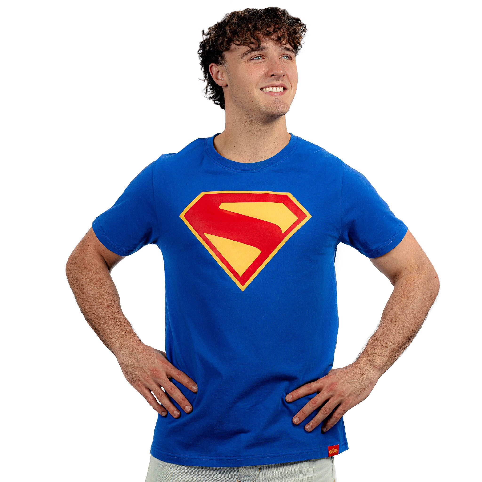 Superman Adult T-Shirt
