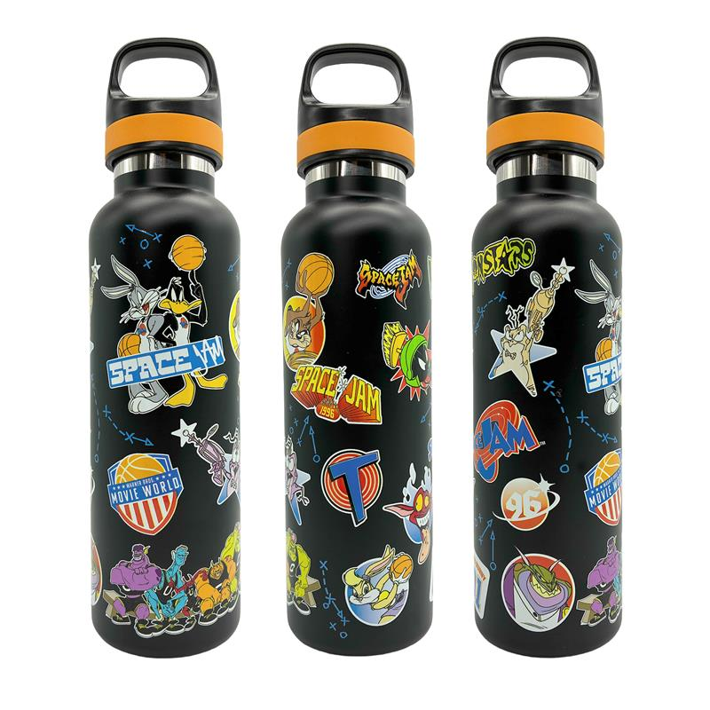Space Jam Metal Sipper Bottle