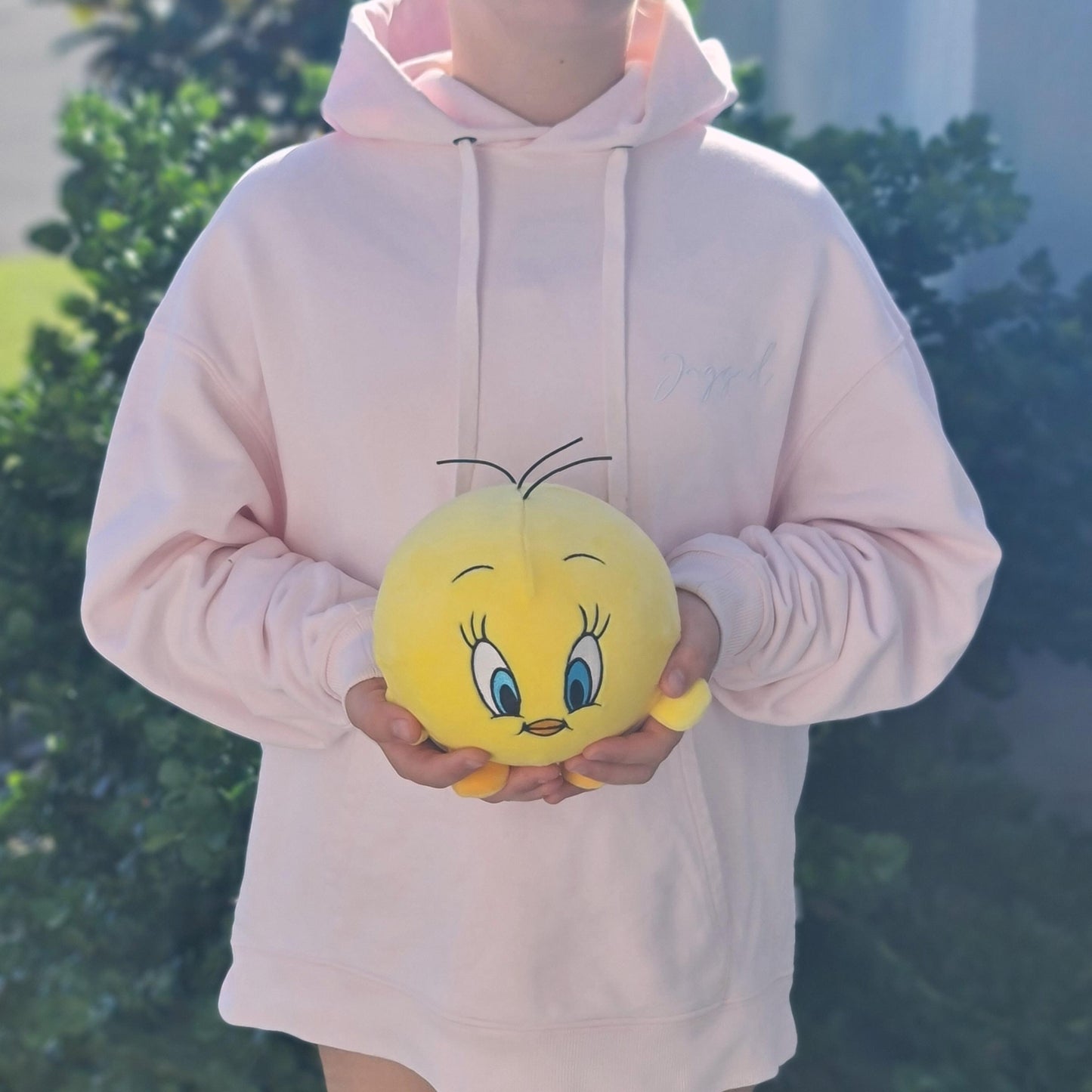 Tweety Squish Ball Plush 5"