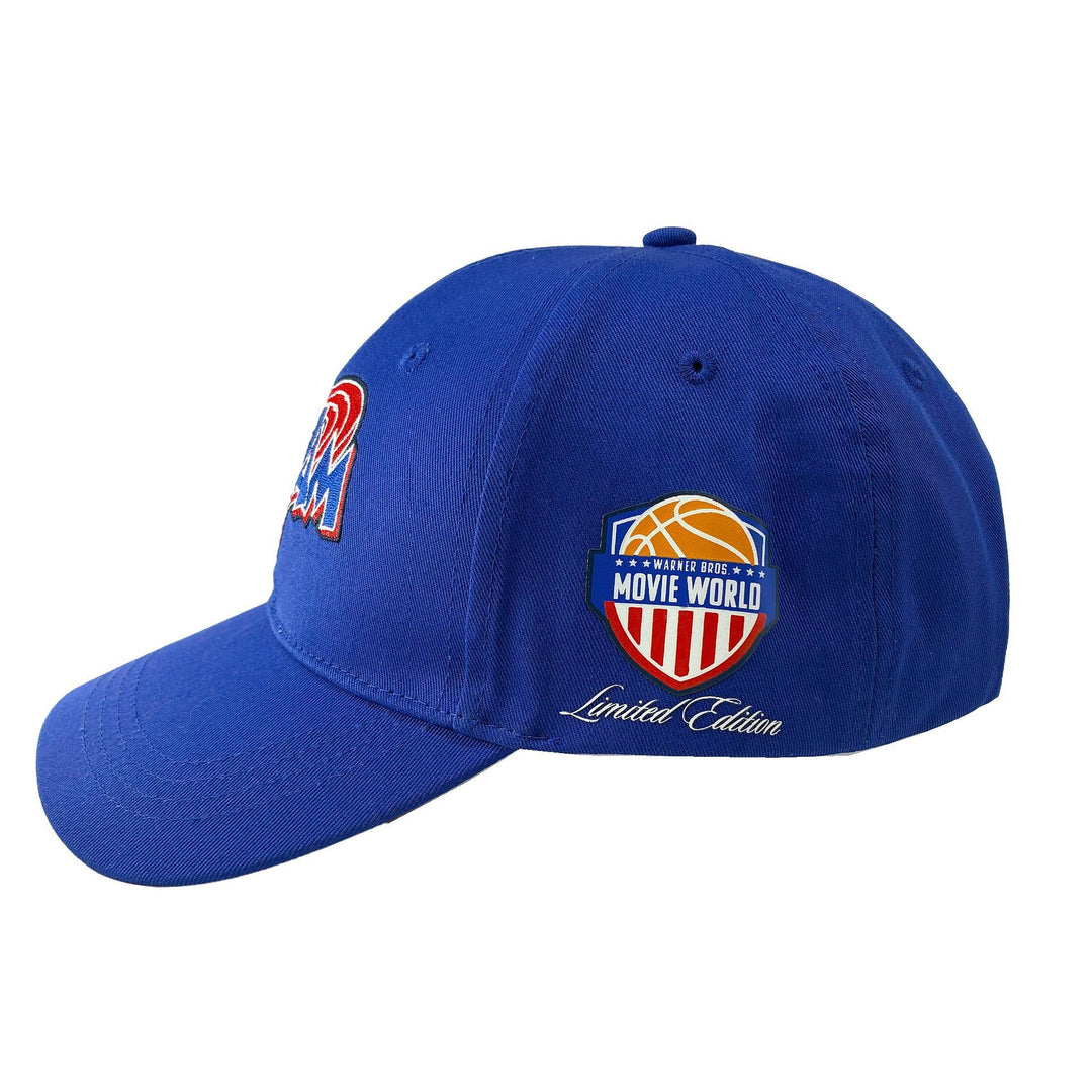 Space Jam 30th Anniversary Cap