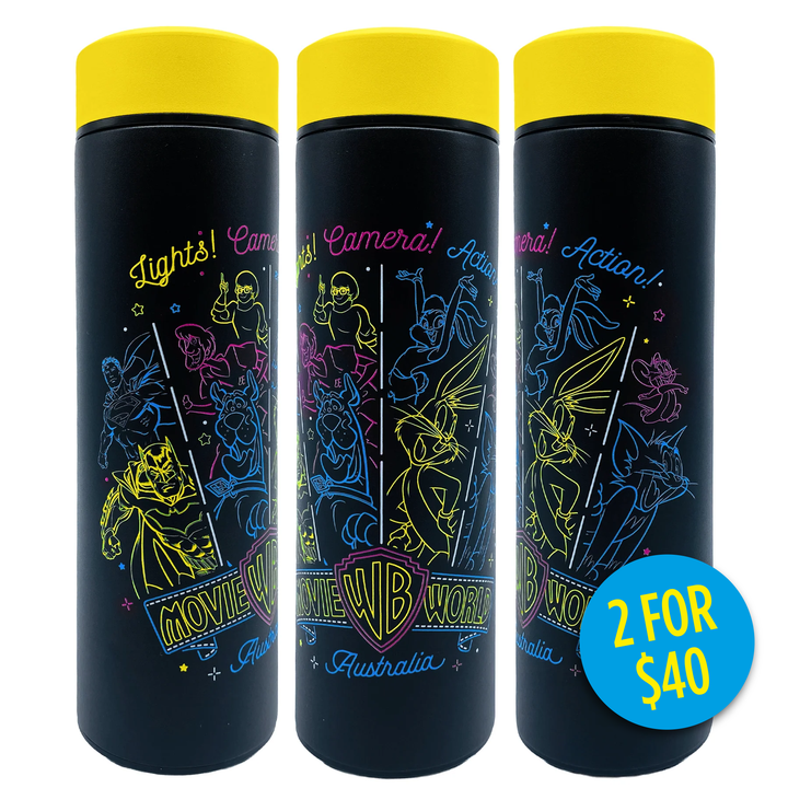 Movie World Metal Sipper Bottle