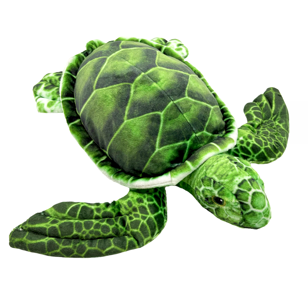 Sea World Foundation Adopt a Turtle