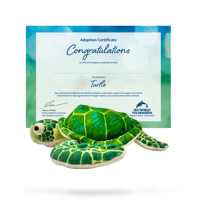 Sea World Foundation Adopt a Turtle