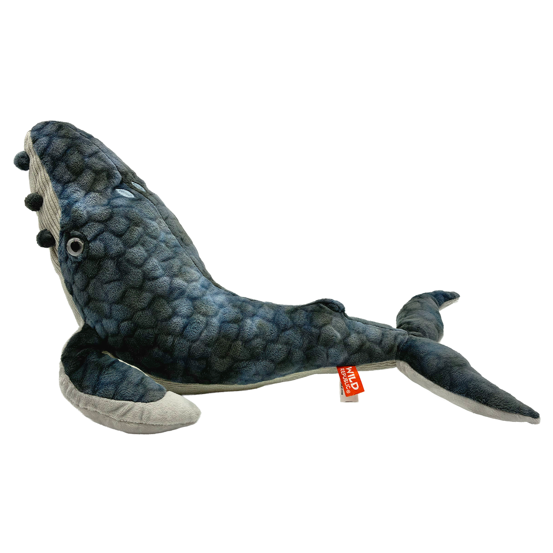 Sea World Foundation Adopt a Whale