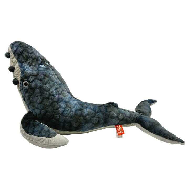 Sea World Foundation Adopt a Whale