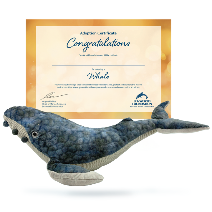 Sea World Foundation Adopt a Whale