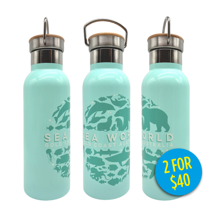 Sea World Metal Sipper Bottle