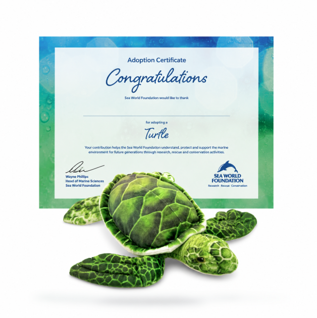 Sea World Foundation Adopt a Turtle