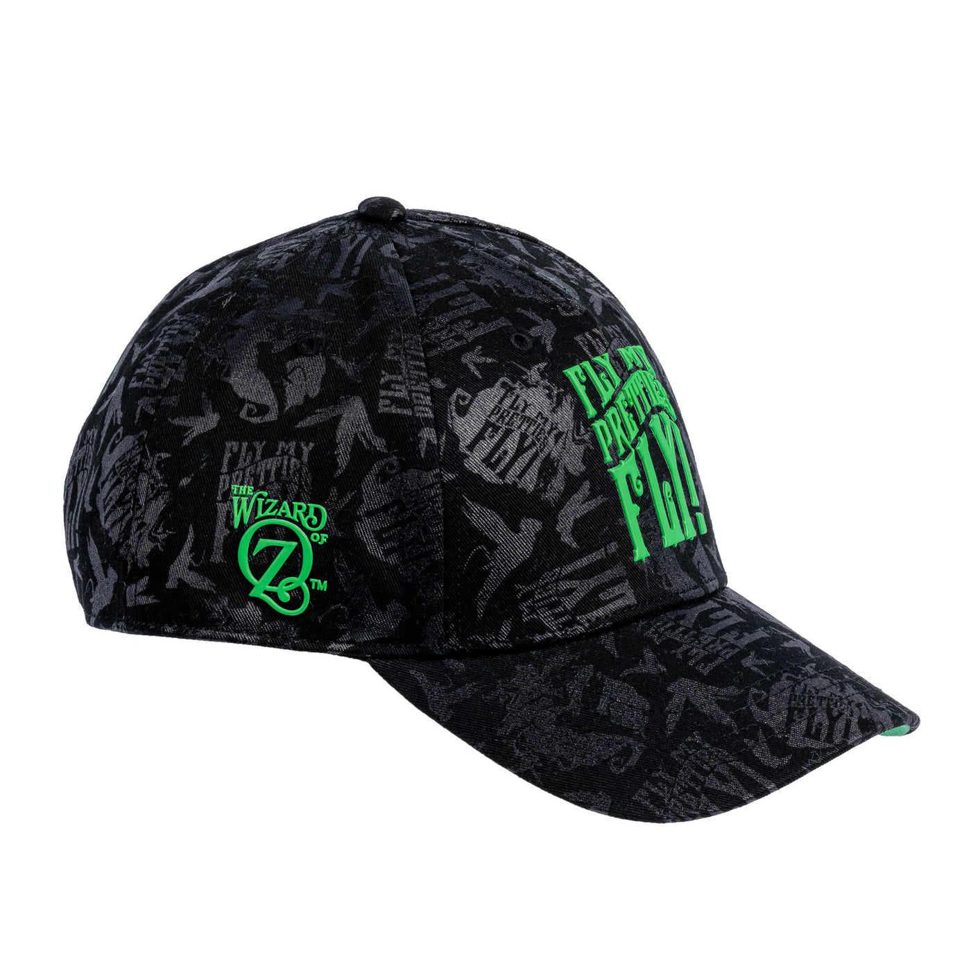 The Wizard of Oz Adults Wicked Witch Cap