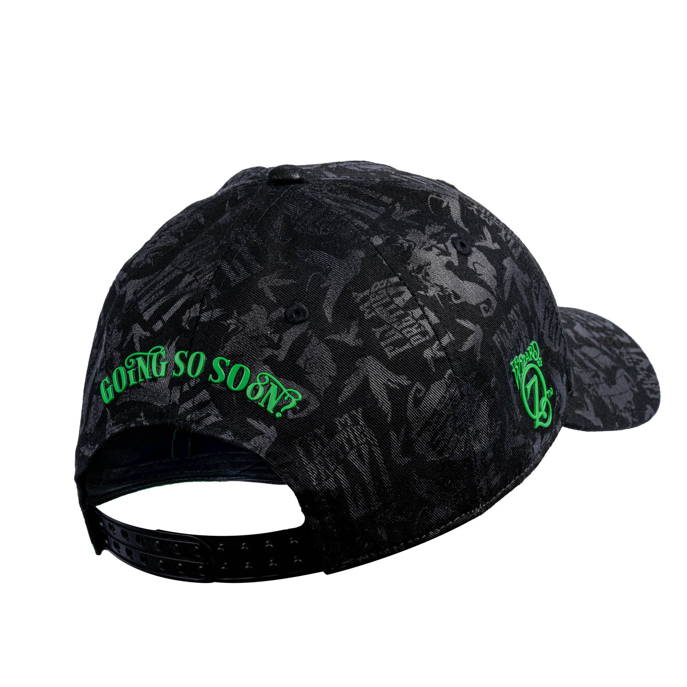 The Wizard of Oz Adults Wicked Witch Cap