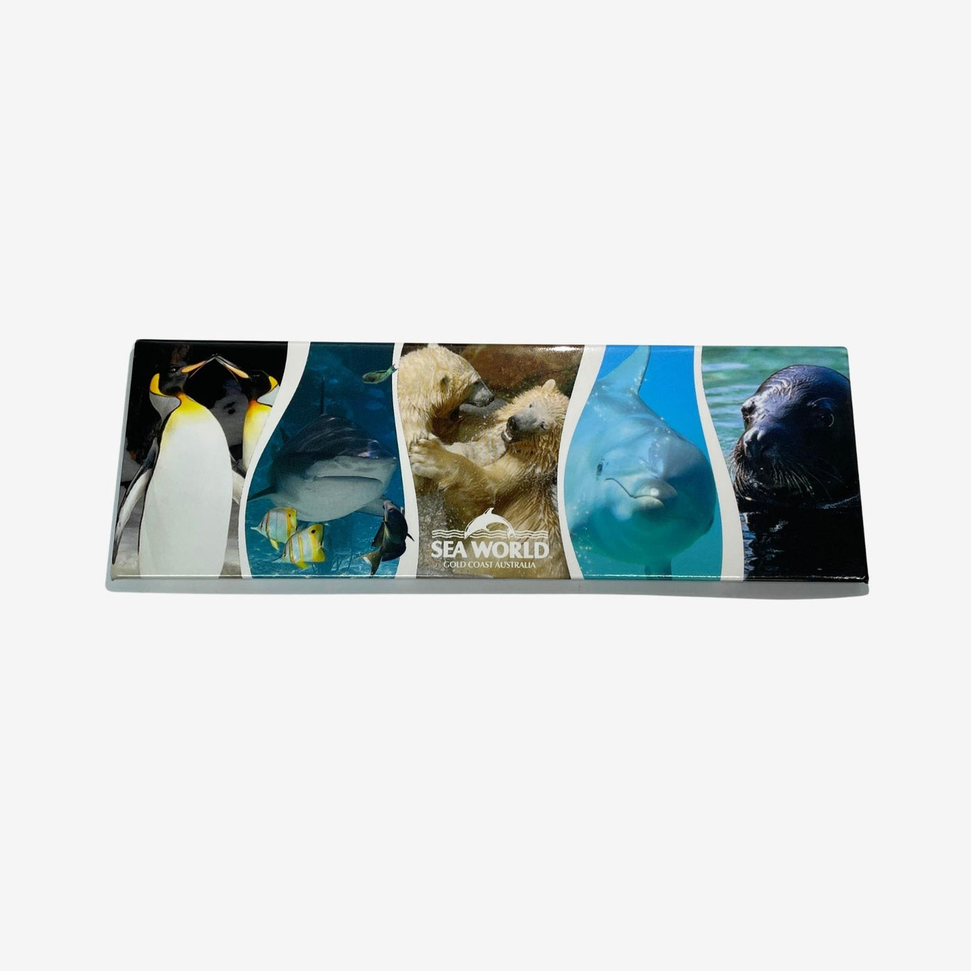 Sea World Animals Photographic Magnet